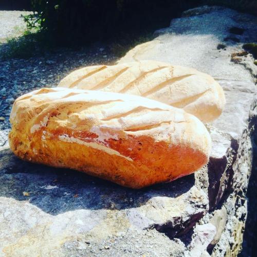 Billede fra billedgalleriet på Au Refuge de Blanche i Verchères