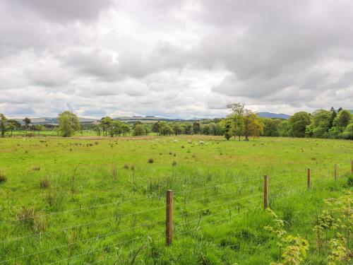 a fence in a field with sheep in it at Gate Lodge in West Calder