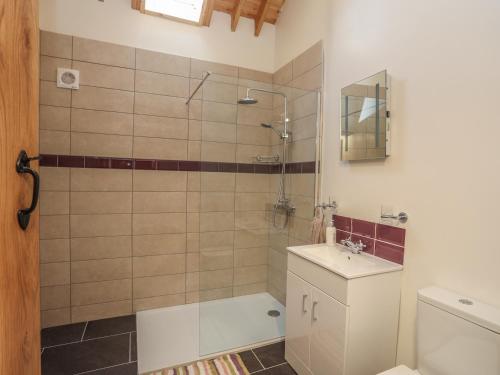 a bathroom with a shower and a toilet and a sink at Y Bwthyn in Llanfairpwllgwyngyll