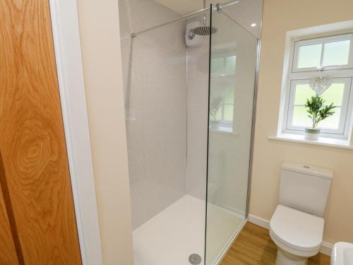 a shower in a bathroom with a toilet and a window at Ryedale Country Lodges - Willow Lodge in York