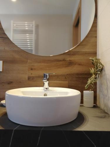 a white sink in a bathroom with a mirror at Apartamentos La Réunion in Camarena de la Sierra