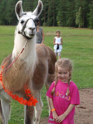 a little girl is standing next to a llama at Rakši in Cēsis