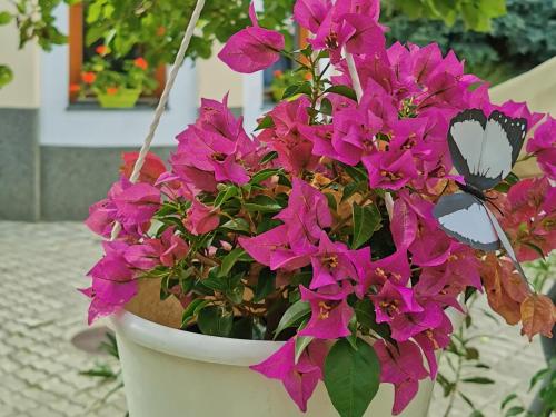 a white pot with pink flowers in it at Strigonia Apartman in Esztergom