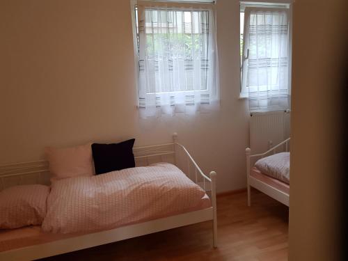 a bedroom with two beds and two windows at Wiesenblume in Schönau im Schwarzwald