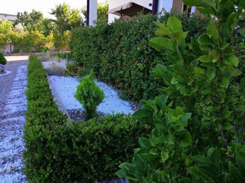 Zahrada ubytování Mamma Puglia Suite & Breakfast