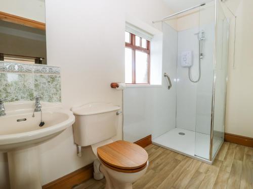 a bathroom with a toilet and a sink and a shower at Ticklepenny in Louth