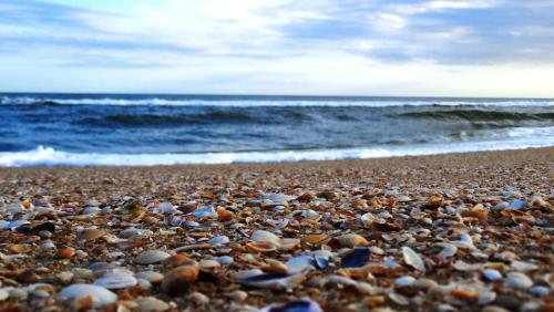 a beach filled with lots of rocks and the ocean at Aloha Village in La Pedrera