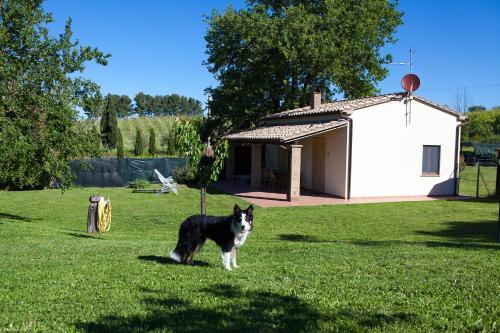 Casa Marta – Photos 2