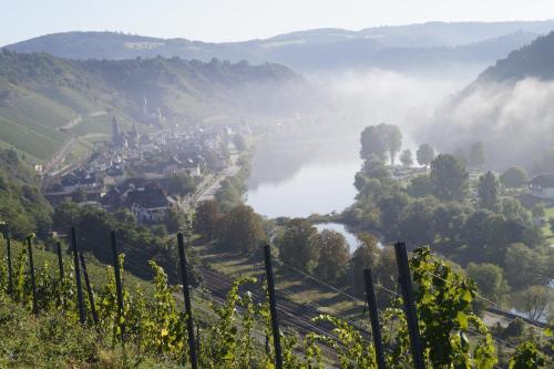 a view of a valley with a town and a river at Winzerhof Gietzen in Hatzenport