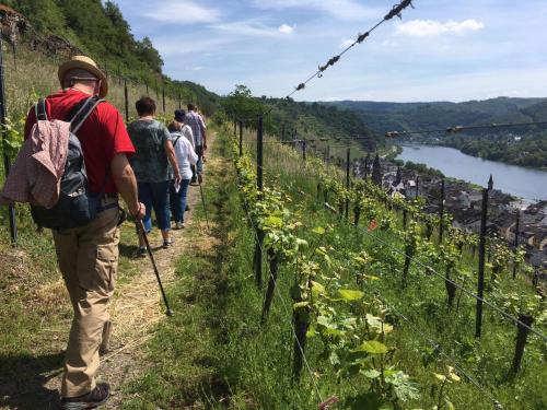a group of people walking down a path next to a vineyard at Winzerhof Gietzen in Hatzenport