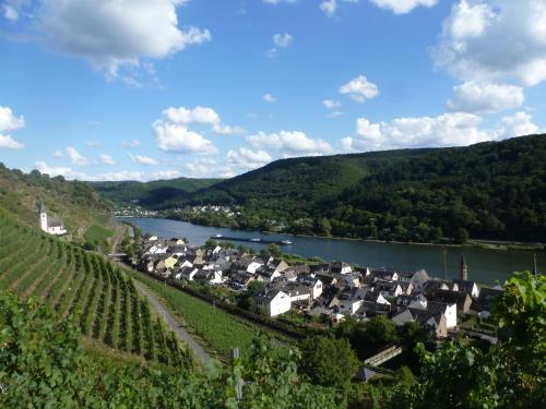 a town on a hill with a river and vineyards at Winzerhof Gietzen in Hatzenport