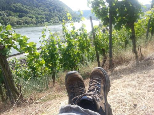 a person with their feet up on a hill next to a river at Winzerhof Gietzen in Hatzenport