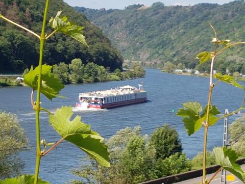 a boat on a river with mountains in the background at Winzerhof Gietzen in Hatzenport
