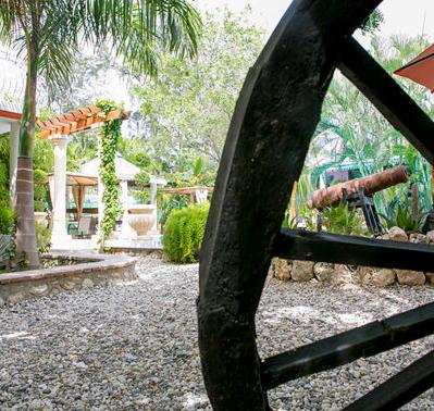 Jardin de l'établissement Palm Inn Hotel