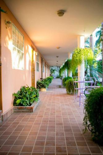 Jardin de l'établissement Palm Inn Hotel