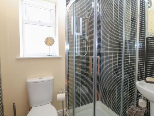 a bathroom with a shower and a toilet and a sink at Lliwedd in Pwllheli