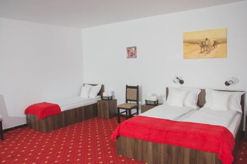 two beds in a room with a red carpet at Pensiunea Iliada in Sibiu