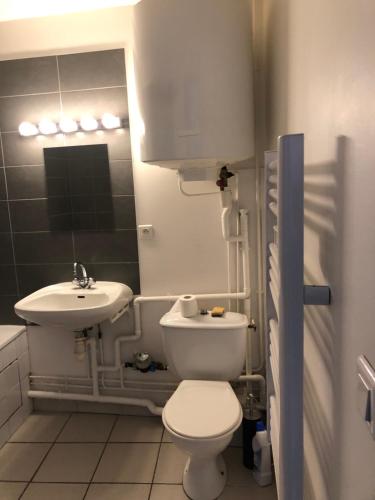 a bathroom with a white toilet and a sink at Studio au cœur de Lyon in Lyon