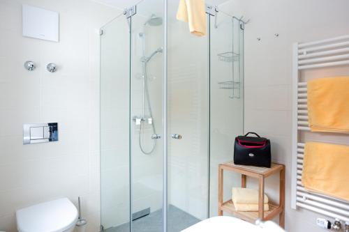 ein Badezimmer mit einer Glasduschkabine und einem WC in der Unterkunft Landhaus Mohr in Immenstadt im Allgäu