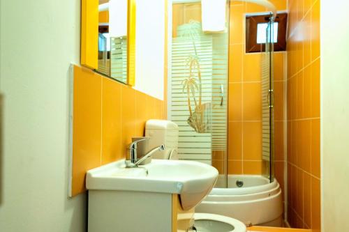 a small bathroom with a toilet and a sink at Pensiunea Marmis in Rîu Bărbat