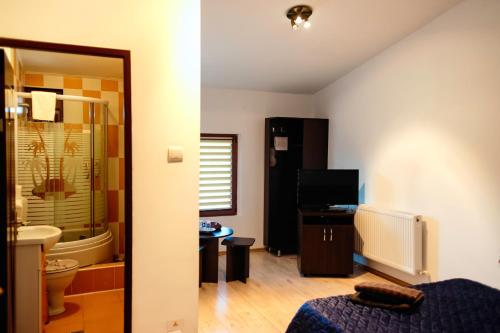 a bathroom with a toilet and a sink and a tub at Pensiunea Marmis in Rîu Bărbat