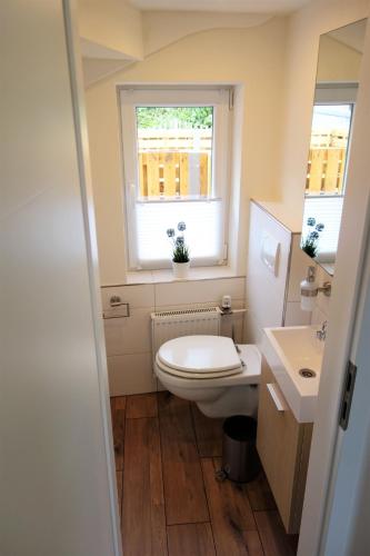 a small bathroom with a toilet and a window at Ferienhaus am Moselsteig in Ürzig