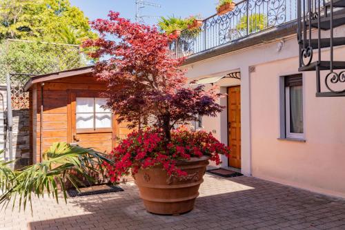 a large pot of flowers in front of a building at Residence Casa e Vela in Oggebbio