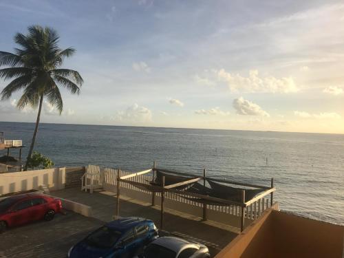 Twee auto's geparkeerd naast de oceaan met een palmboom. bij Water Front Peaceful Apartment in San Juan