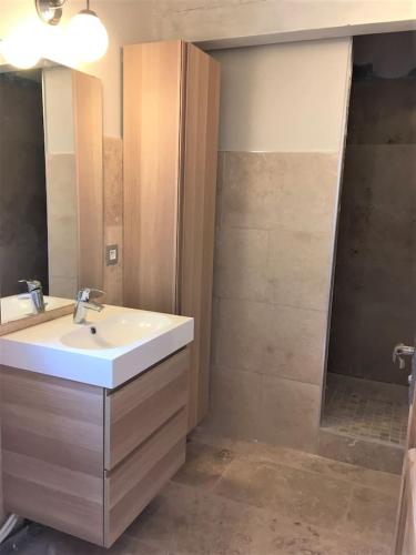 une salle de bain avec un lavabo et une douche dans l'établissement Coquet 2 pièces au calme avec piscine (2/4 pers), à Fontvieille