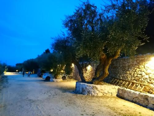 a tree next to a stone wall at night at Residence Montelci in Mattinata