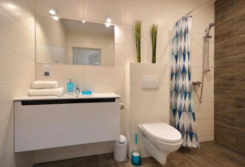 ダルウフコにあるApartamenty Gajaのバスルーム(トイレ、洗面台、鏡付)