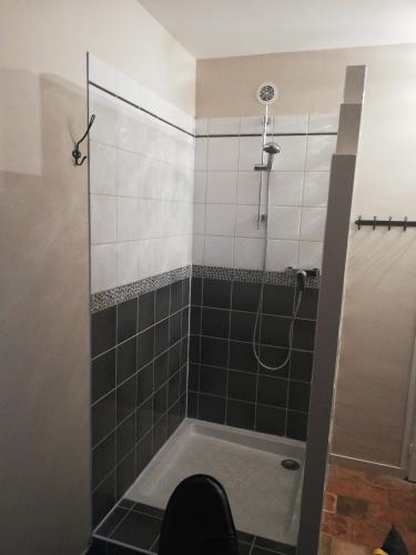 une salle de bain avec douche et baignoire dans l'établissement La Vallée, à Saint-Martin-Saint-Firmin