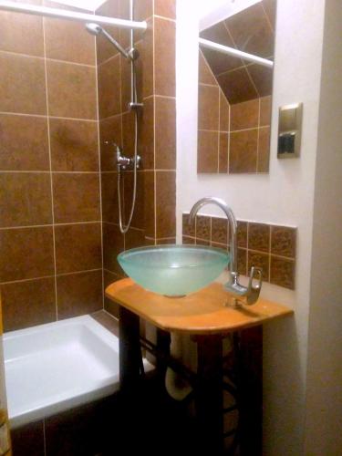 a bathroom with a glass bowl sink and a shower at Agroturystyka U Tadysa in Szaflary