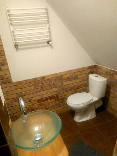 a bathroom with a toilet and a sink at Agroturystyka U Tadysa in Szaflary