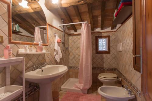a bathroom with a sink and a toilet at La Nave in Casale Marittimo