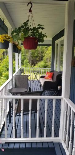 a porch with a table and a potted plant at Trinity Guest House in Trinity