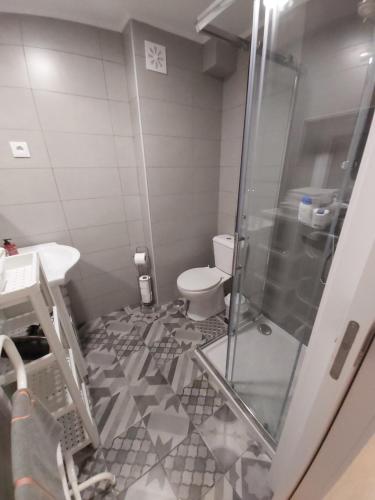 a bathroom with a shower and a toilet at Tipico Romantico I in Setúbal