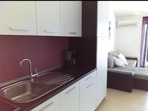 a kitchen with a sink and a couch in a room at Apartman Pazin in Klek