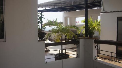 a room with potted plants on a balcony at Casa del Parque Vallarta in Puerto Vallarta