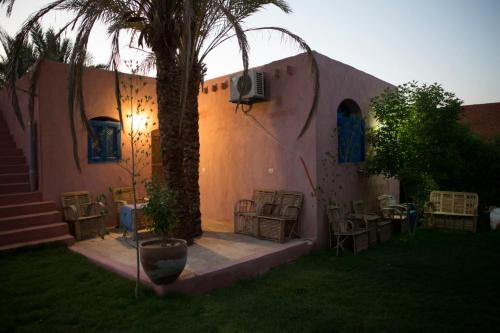 une maison avec un palmier dans la cour dans l'établissement Tunis Village Chalet, à Fayoum