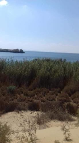 an island in the ocean next to a field of grass at Tunis Village Chalet in Fayoum Center