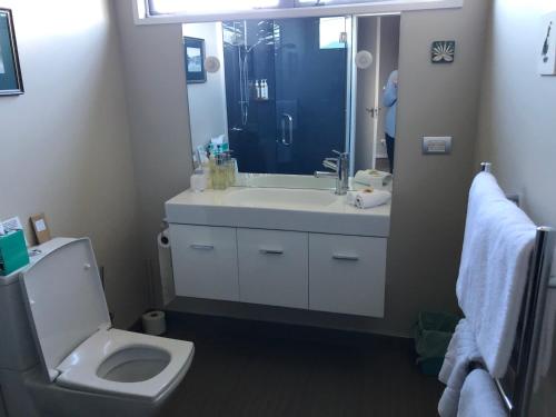 uma casa de banho com um WC, um lavatório e um chuveiro em Almyra Waterfront Accommodation em Tasman