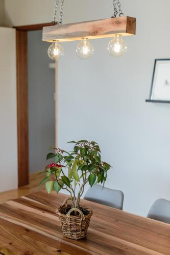 a potted plant sitting on a wooden table at Opstal Stay in Rawsonville