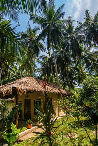 a small house with palm trees in front of it at Munjoh Ocean Resort - Private Beachfront Luxury Retreat in Havelock in Havelock Island