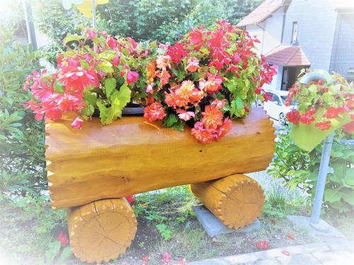 a planter with flowers on top of a log at Ferienwohnung Baacke in Ruhla