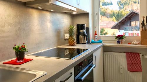 uma cozinha com um lavatório e uma bancada em FeWo Heitmann em Oberjoch