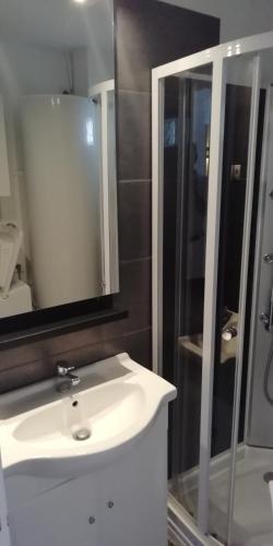 une salle de bain avec un lavabo blanc et une douche dans l'établissement Appartement Le Tréport Centre, au Tréport