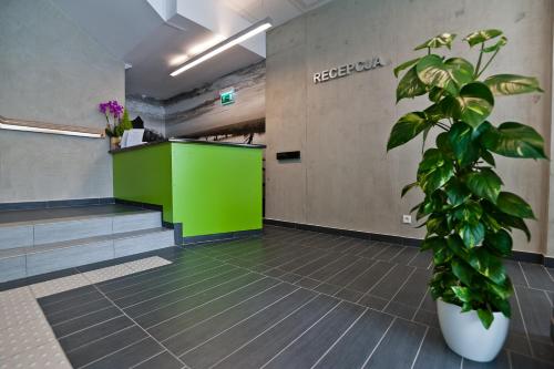 a lobby with a green counter and a potted plant at Green Hotel Płock in Płock