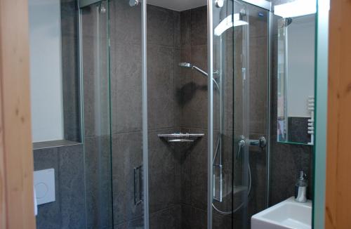a bathroom with a shower with a glass door at Ferienwohnung Uf dr Liwwi in Grindelwald