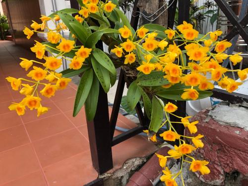 a bunch of yellow flowers in a black vase at Merry Riverside Hotel in Luang Prabang